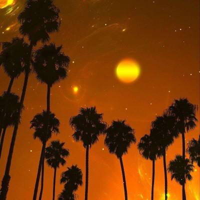 开云·体育(kaiyun)下载手机版