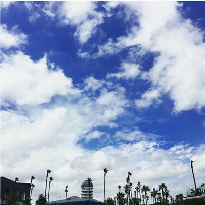 星空体育平台官网手机app下载