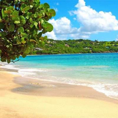 必赢亚洲app下载