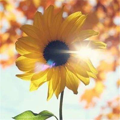 银河国际官网app下载手机app下载截图